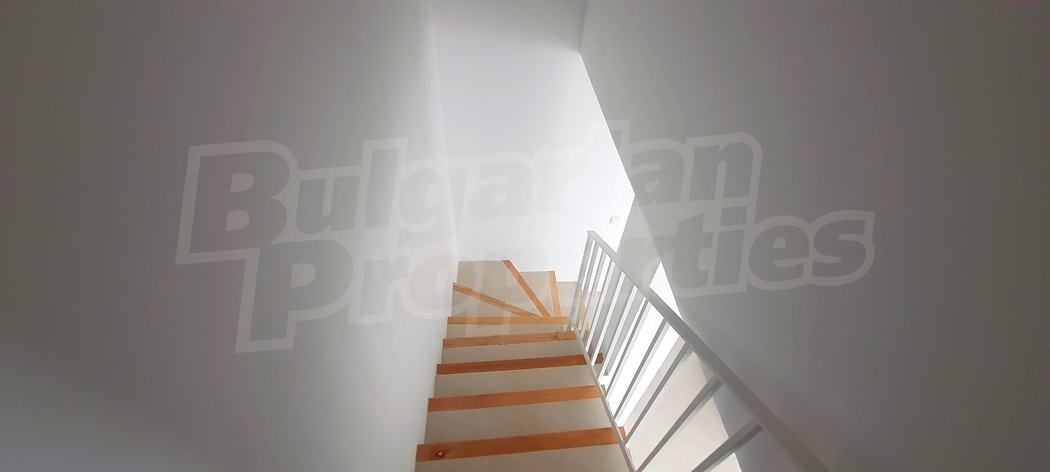 Gallery Picture 23