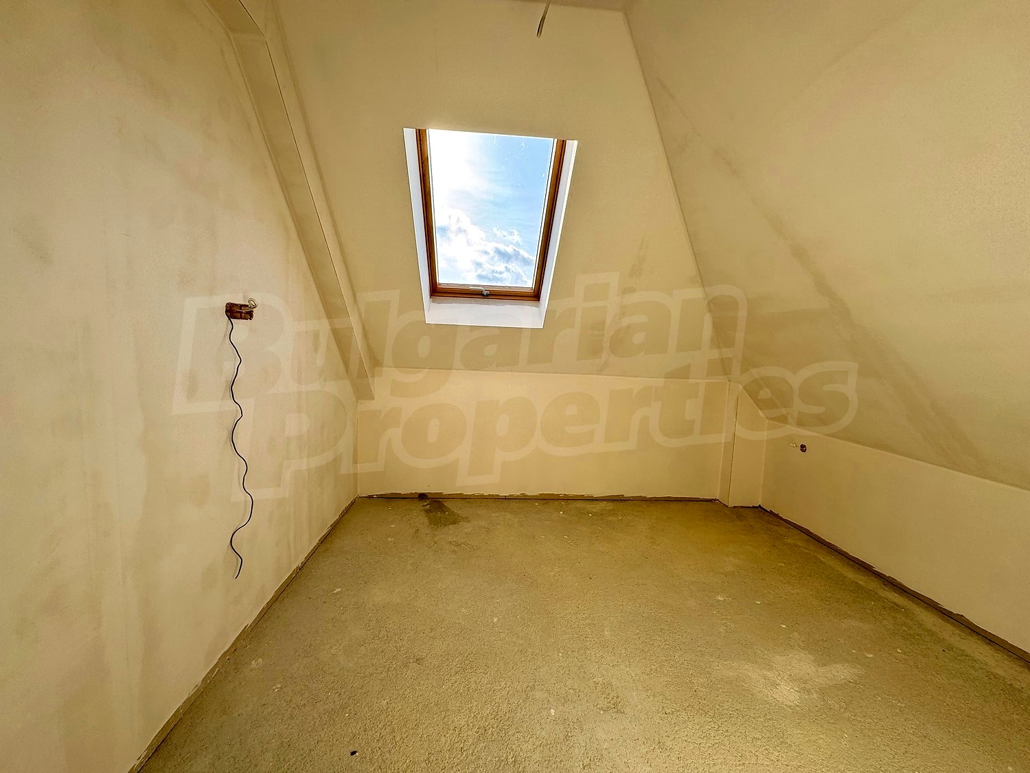 Gallery Picture 7
