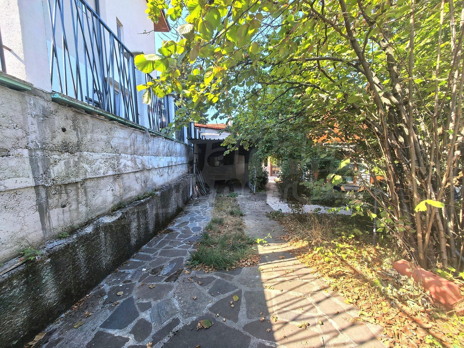 Gallery Picture 27