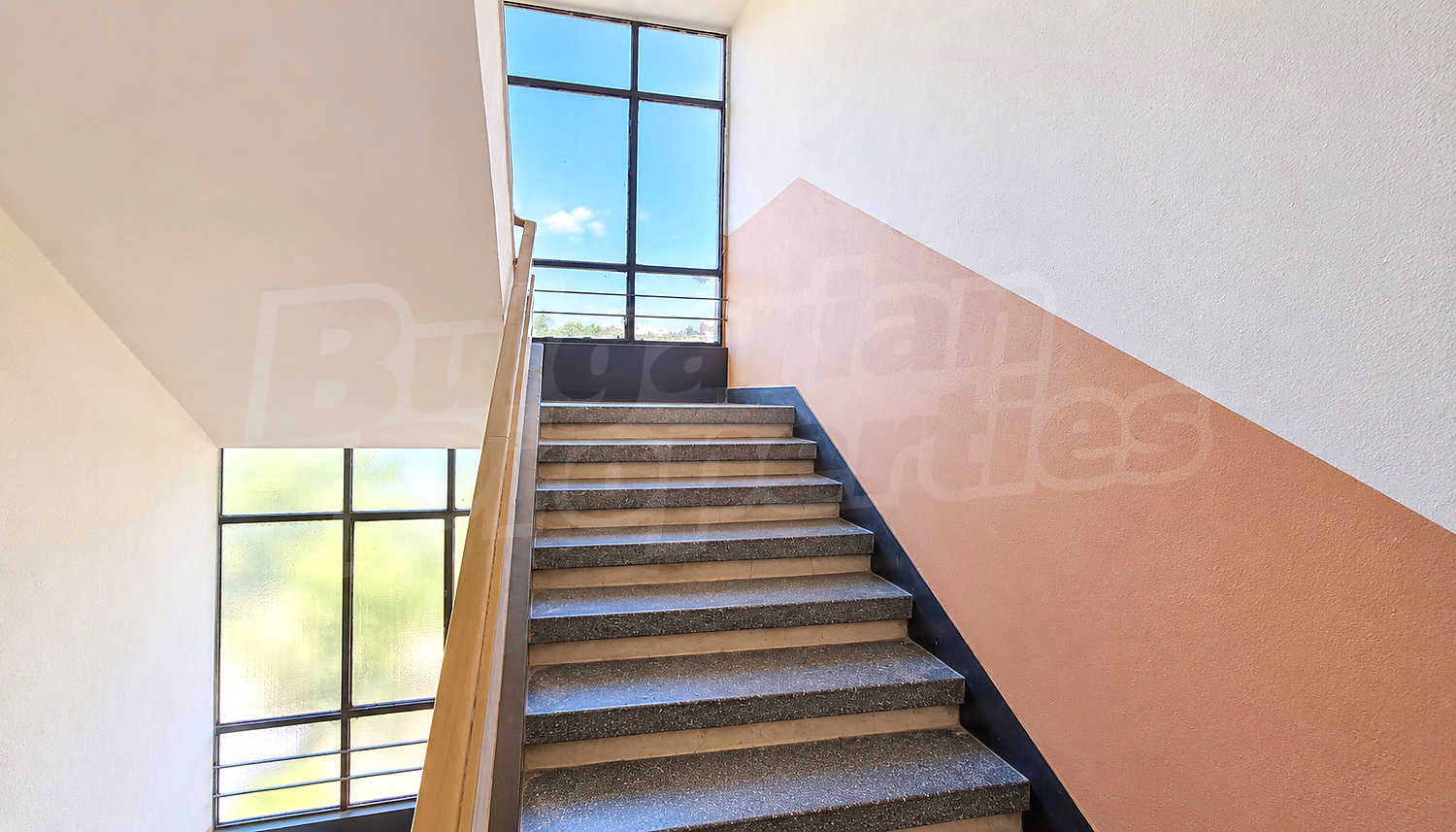 Gallery Picture 12