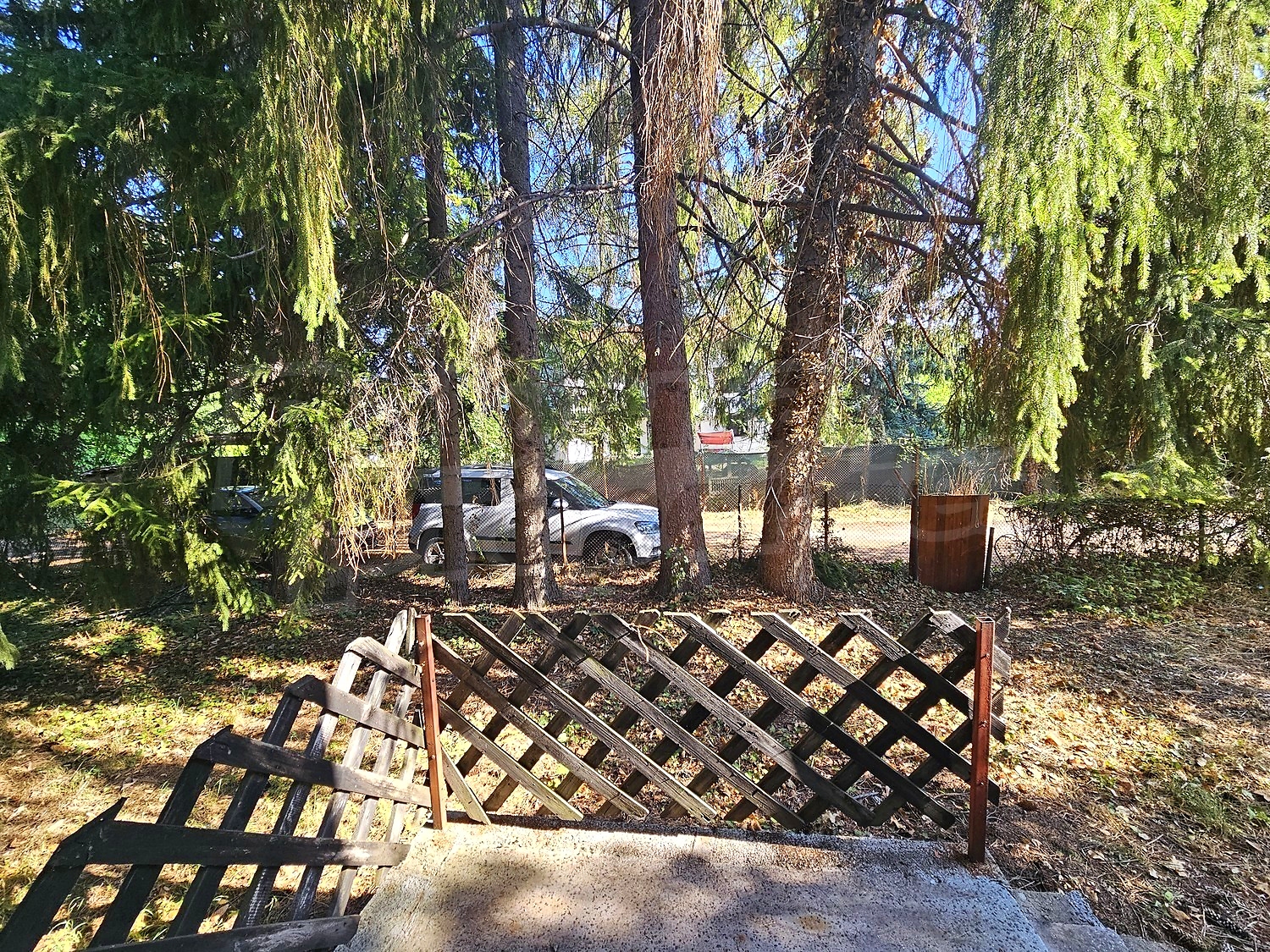 Gallery Picture 31