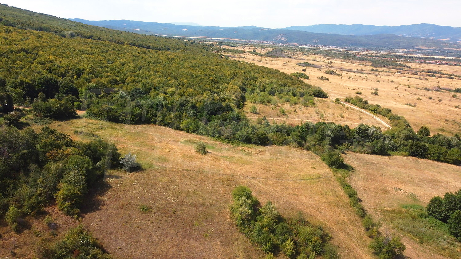 Gallery Picture 11