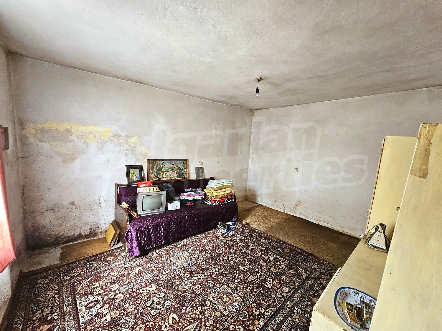 Gallery Picture 31