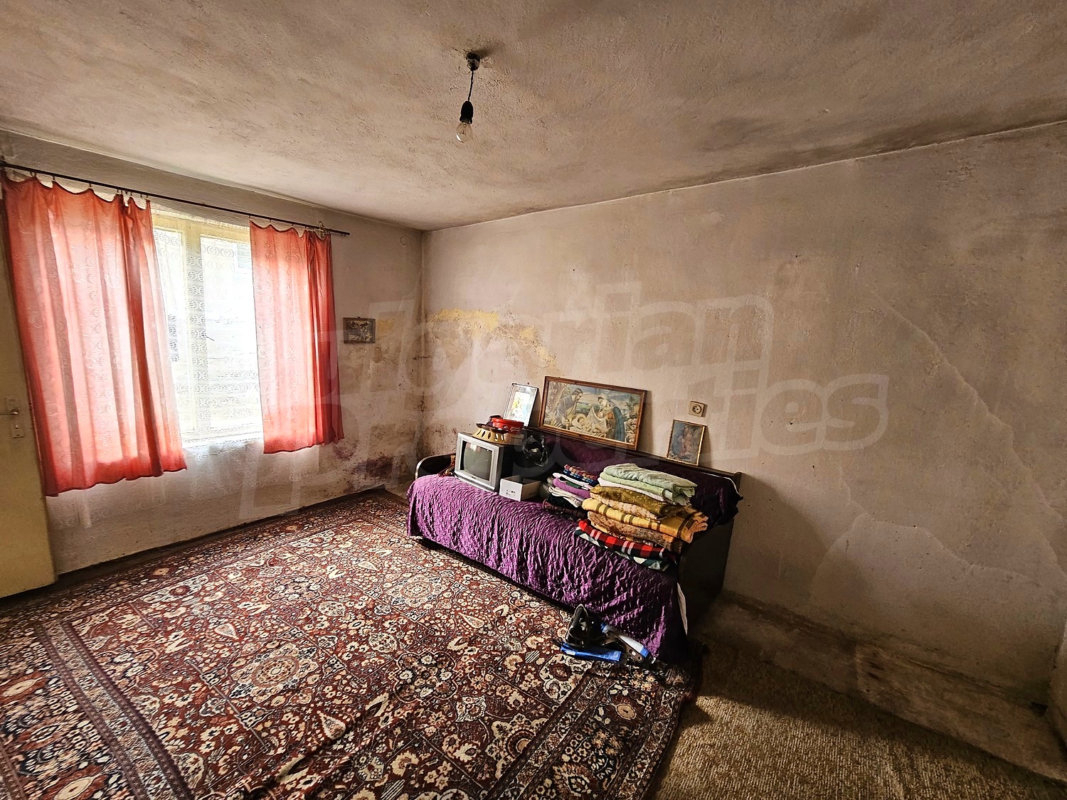 Gallery Picture 33