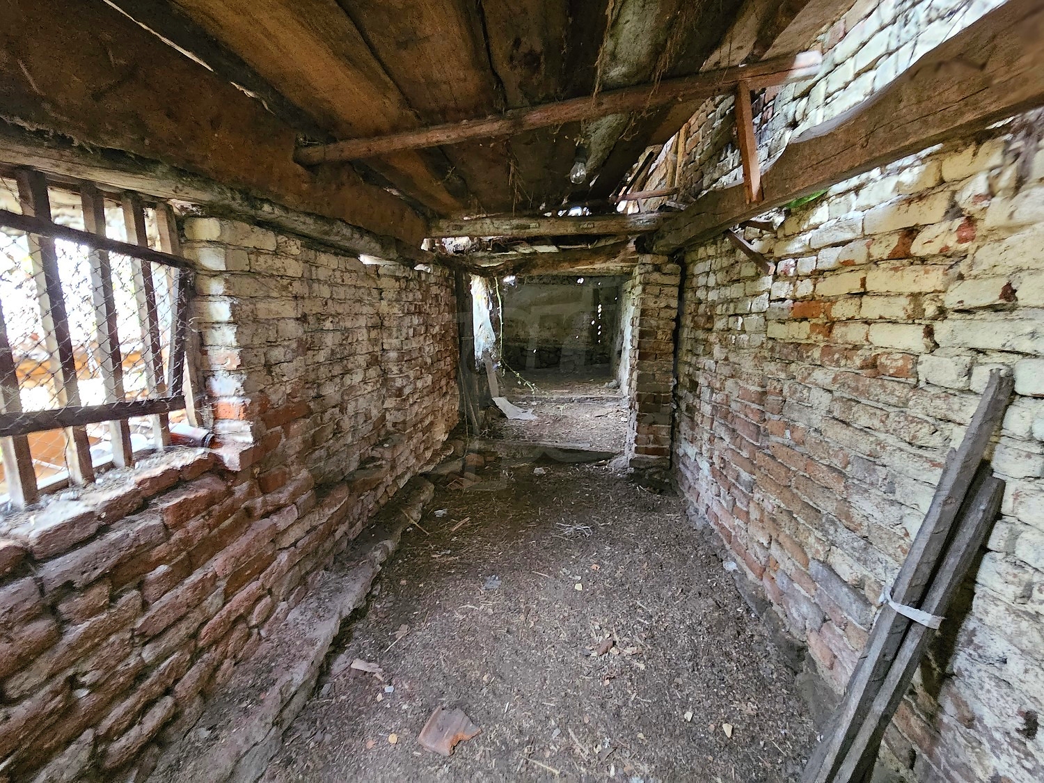Gallery Picture 48