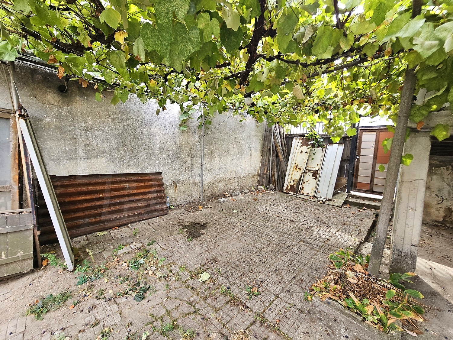 Gallery Picture 49