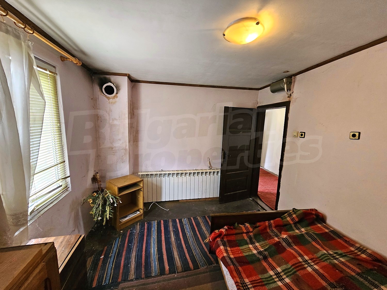 Gallery Picture 14
