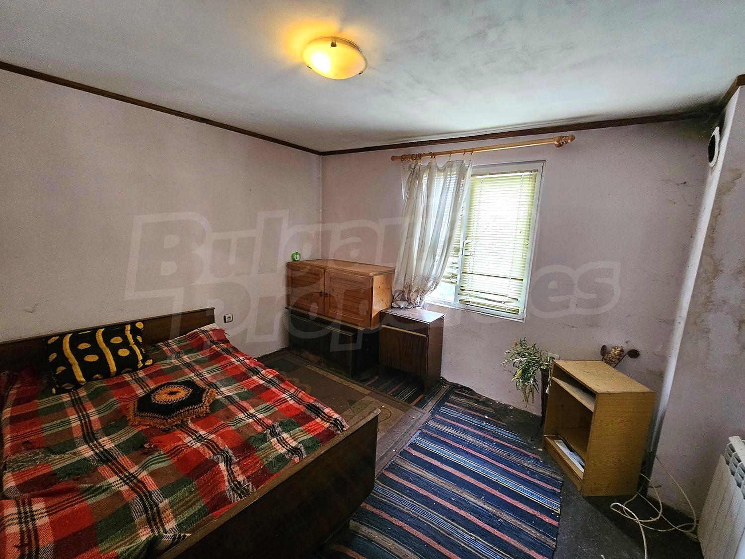 Gallery Picture 12