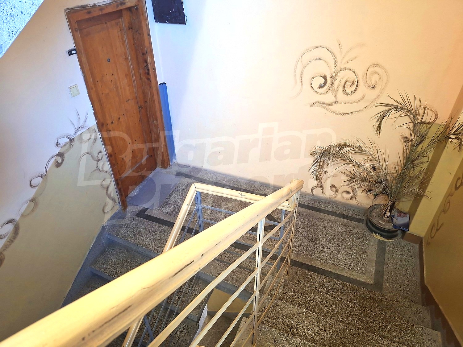 Gallery Picture 25