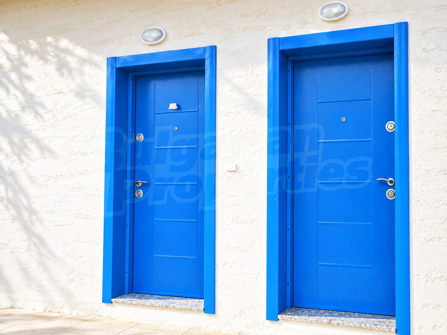 Gallery Picture 24