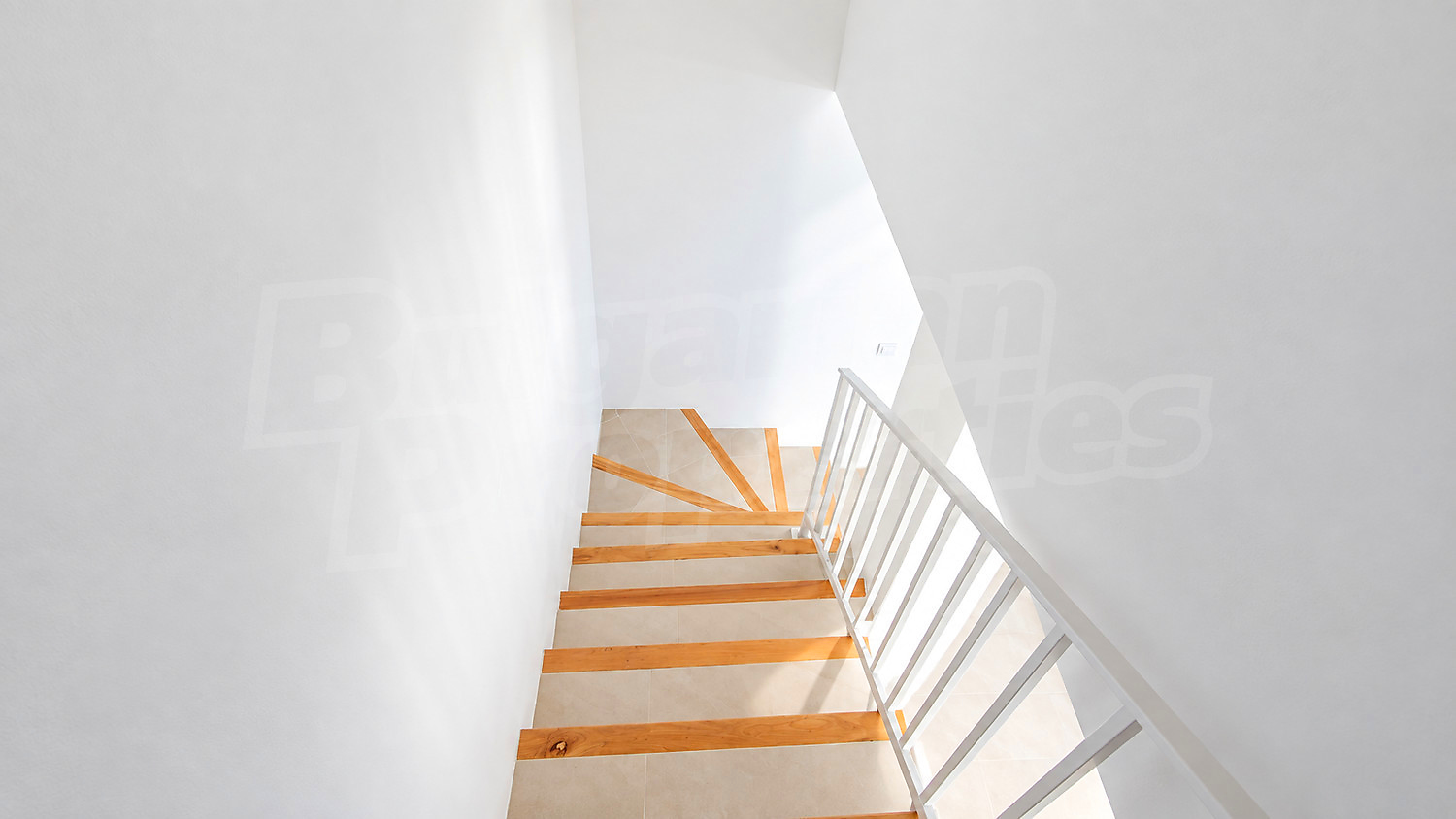 Gallery Picture 44