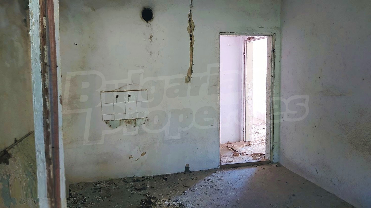 Gallery Picture 11