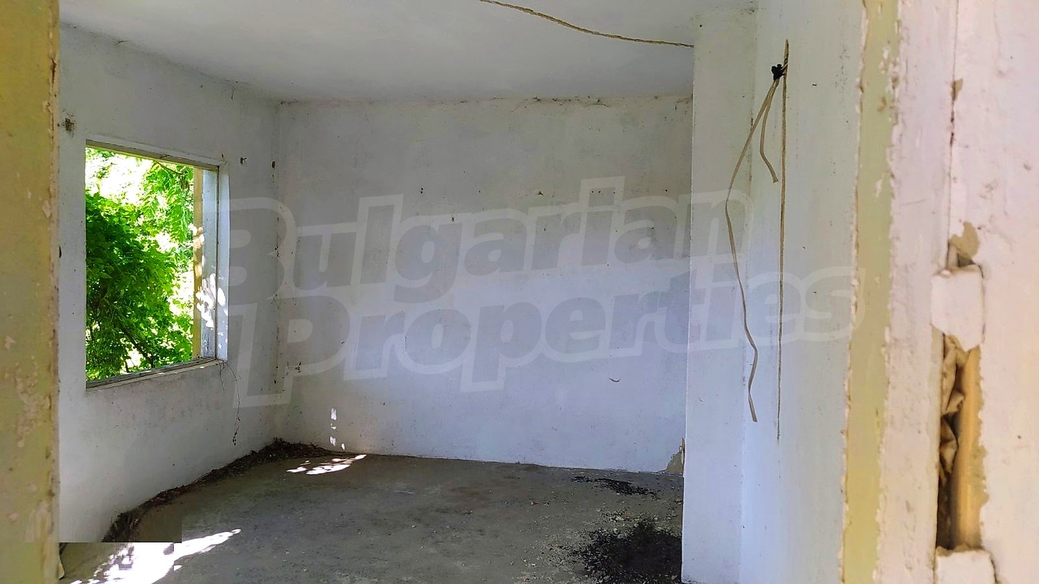Gallery Picture 17