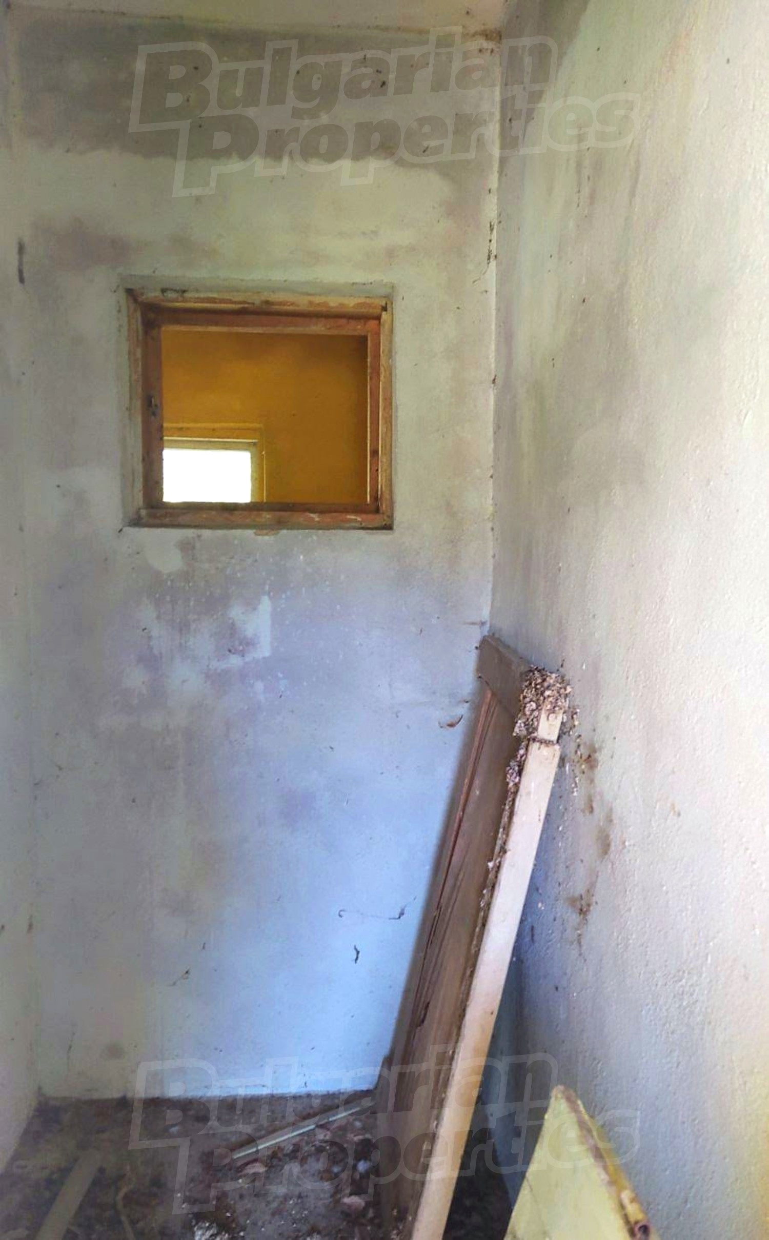 Gallery Picture 18