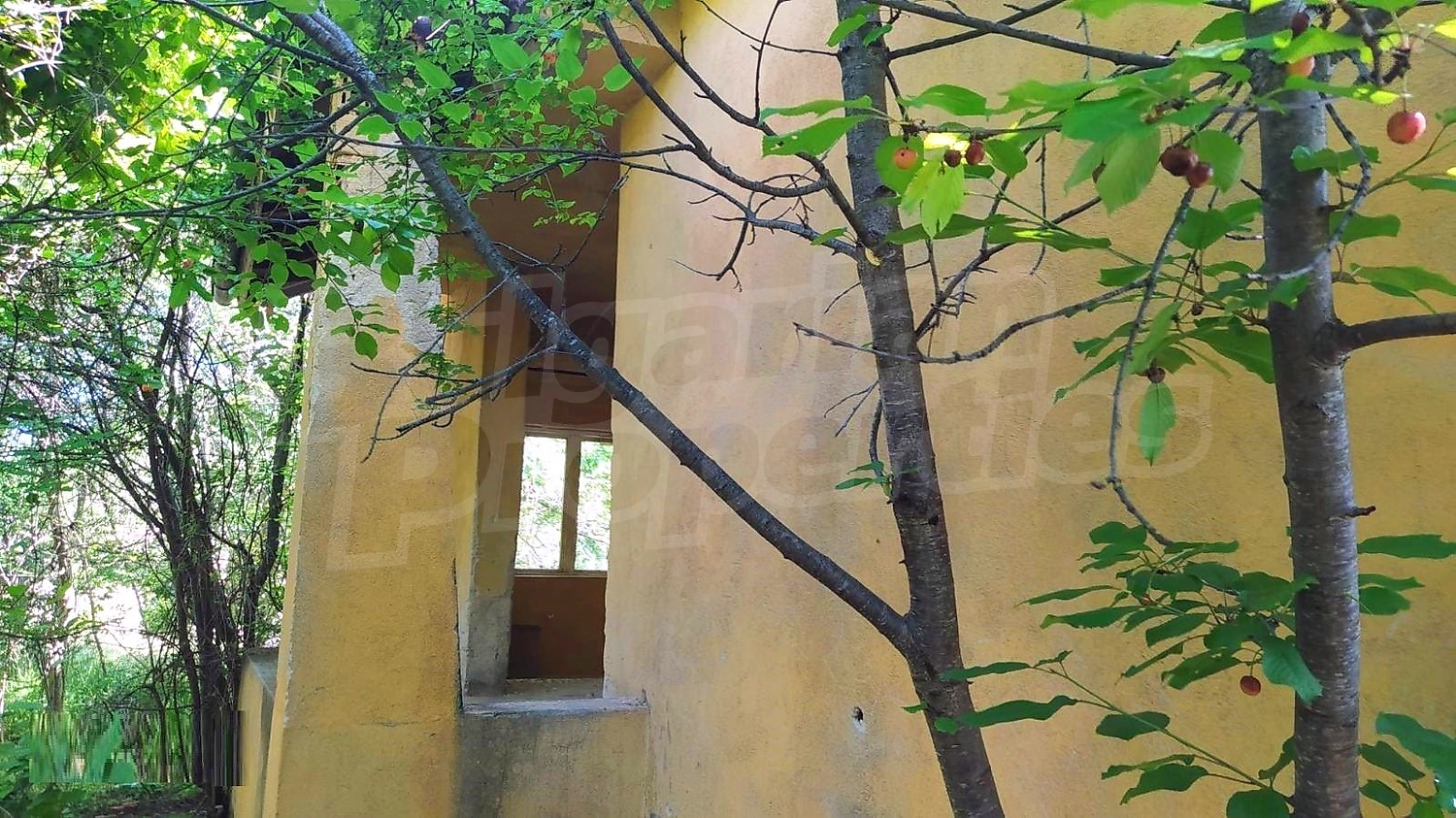 Gallery Picture 26