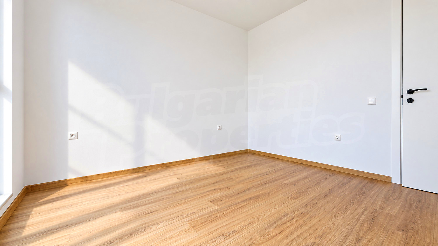 Gallery Picture 16