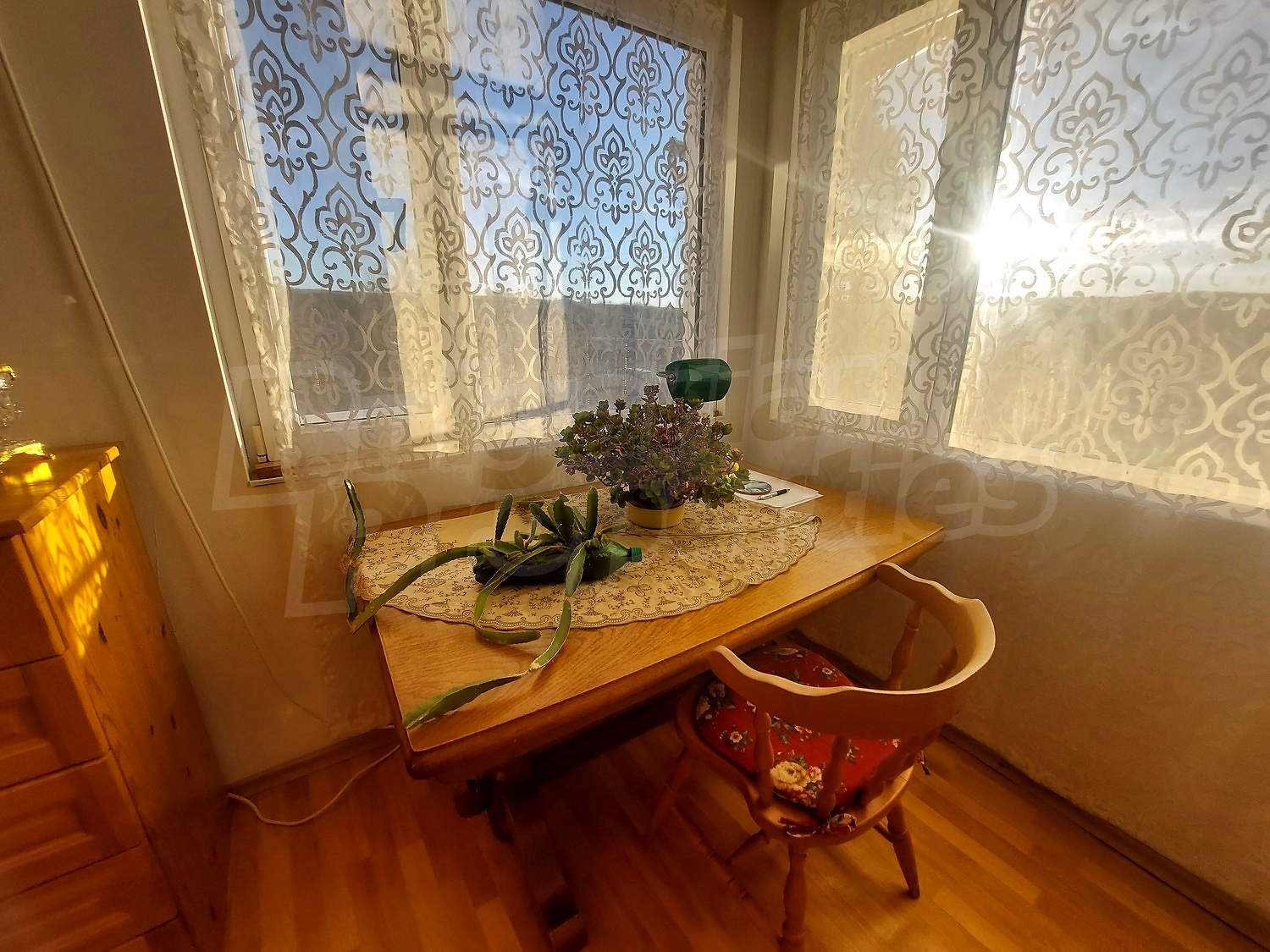 Gallery Picture 23