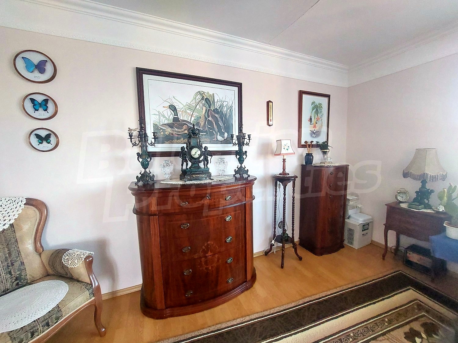 Gallery Picture 25