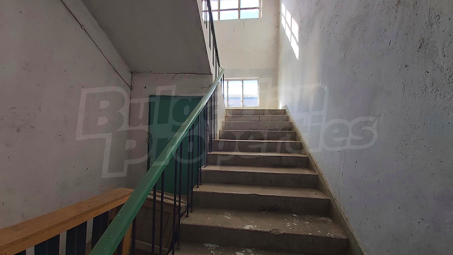 Gallery Picture 29