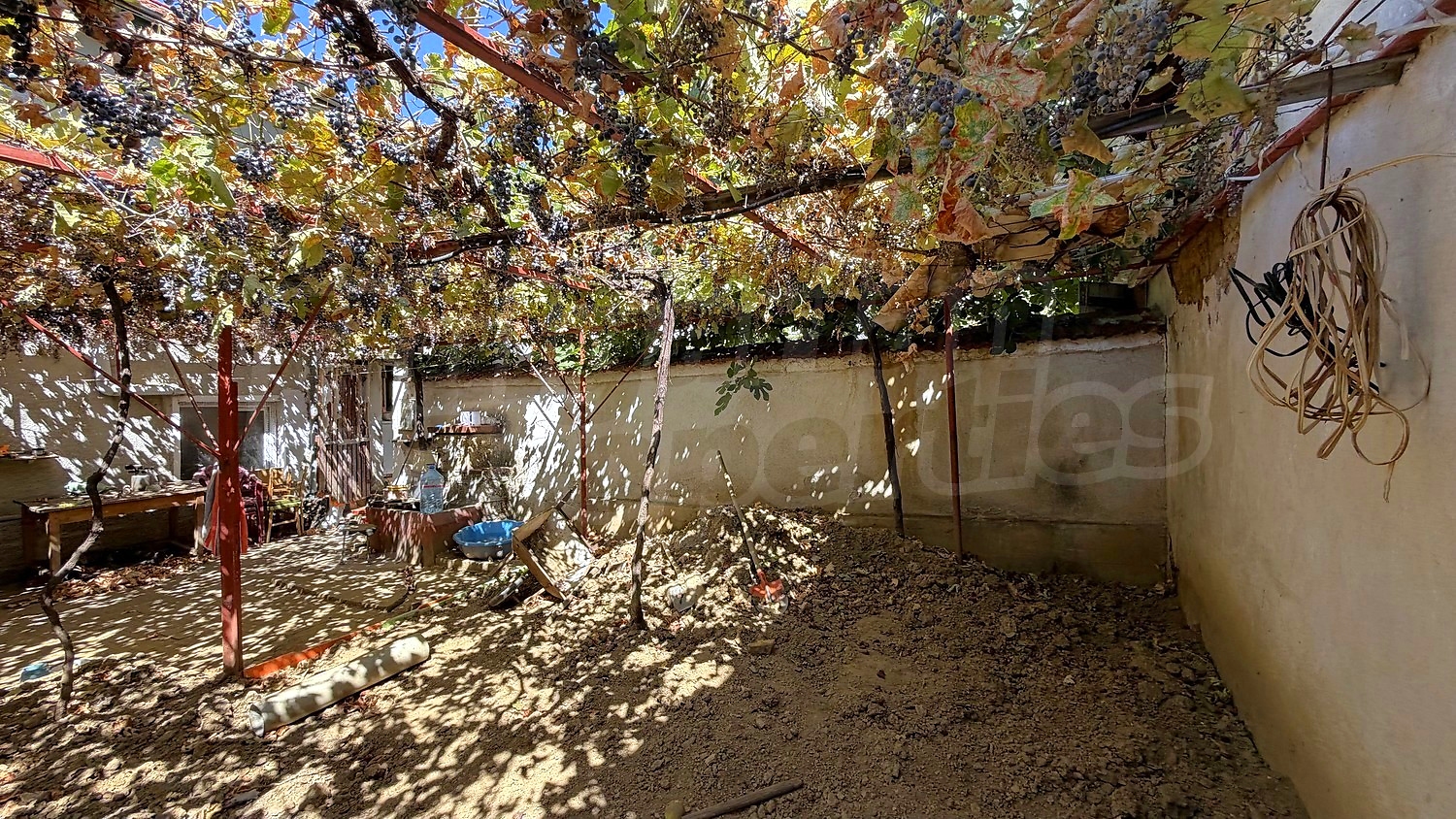 Gallery Picture 50