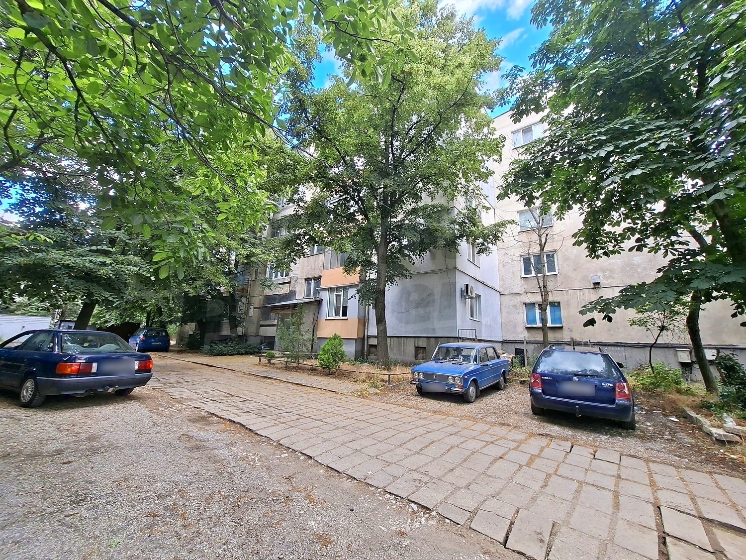 Gallery Picture 16