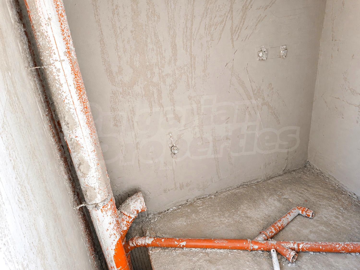 Gallery Picture 11
