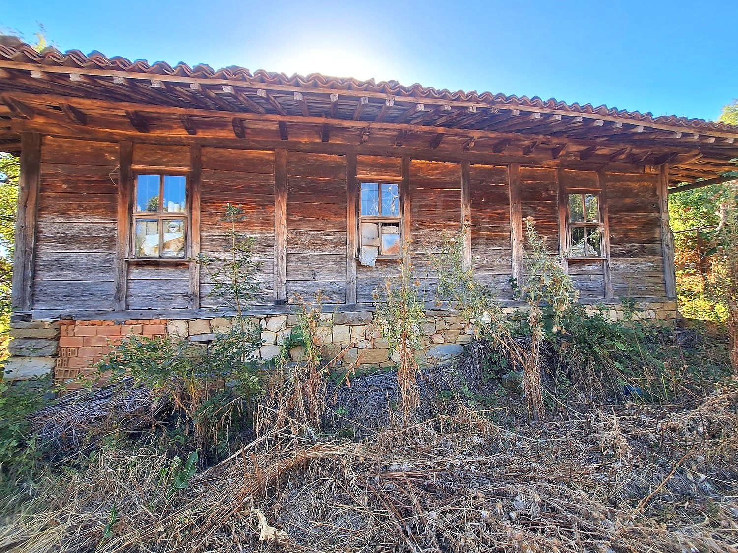 facade, outside, garden
