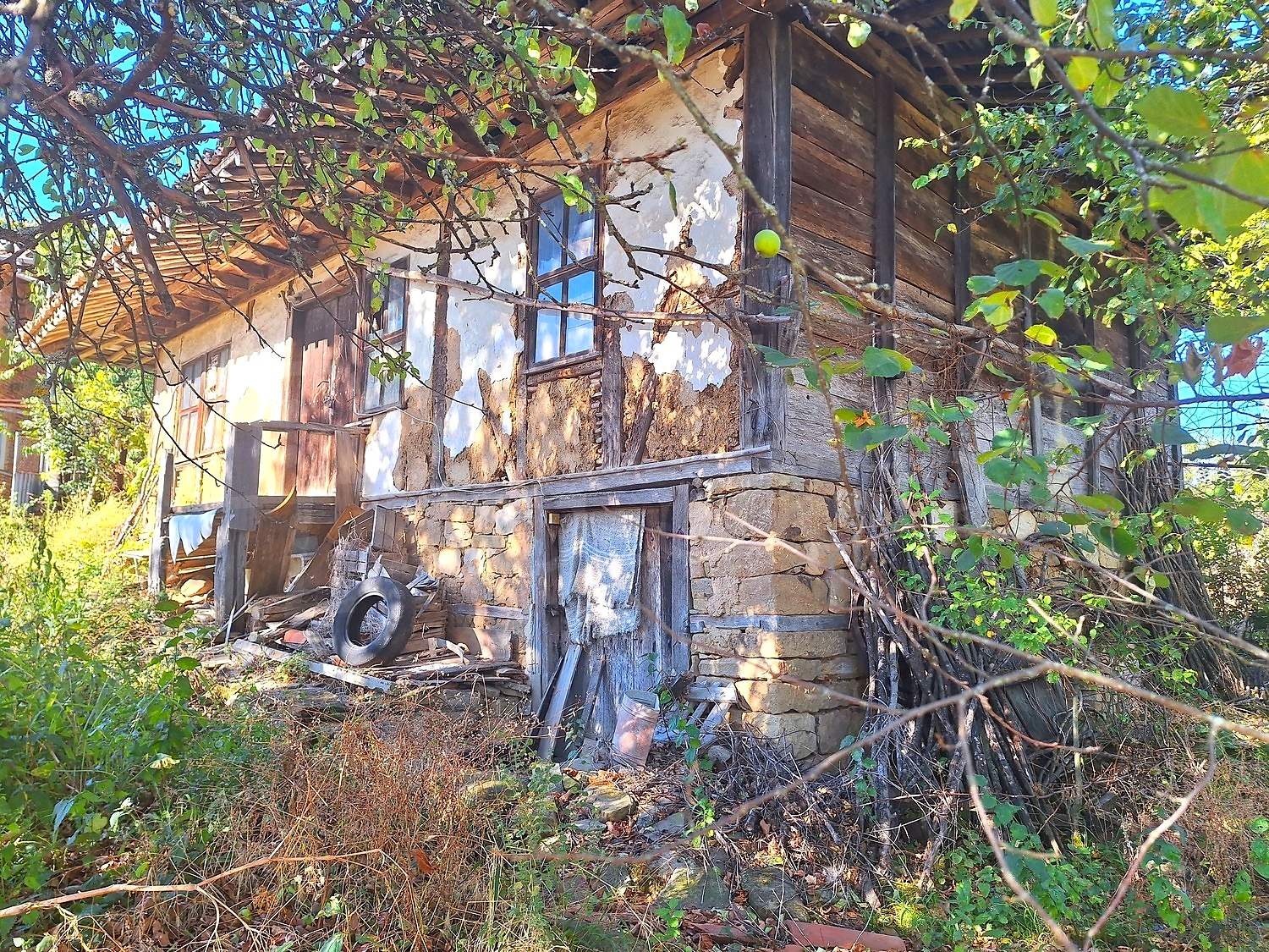 outside, facade, garden