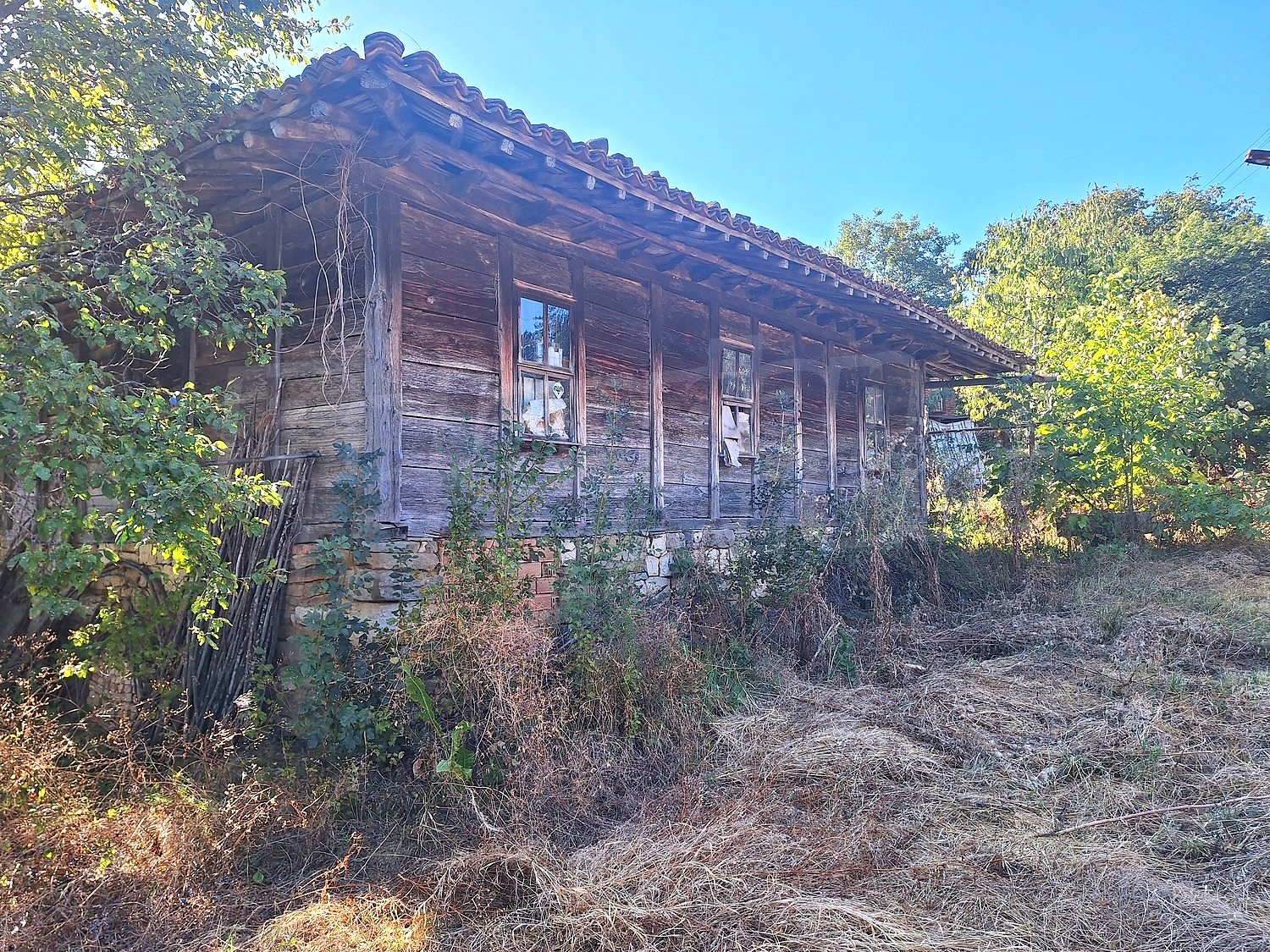 outside, facade, garden
