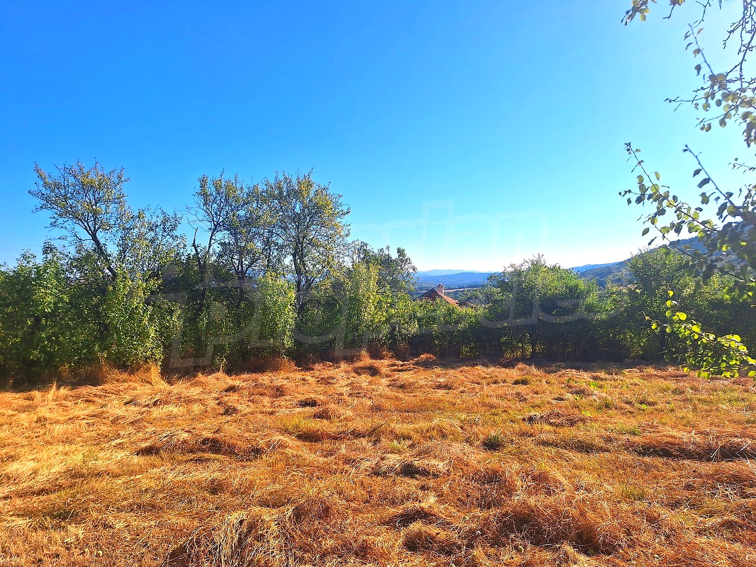 outside, mountain, green area