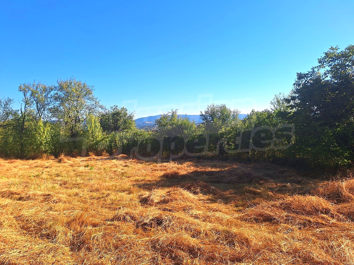 outside, mountain, green area