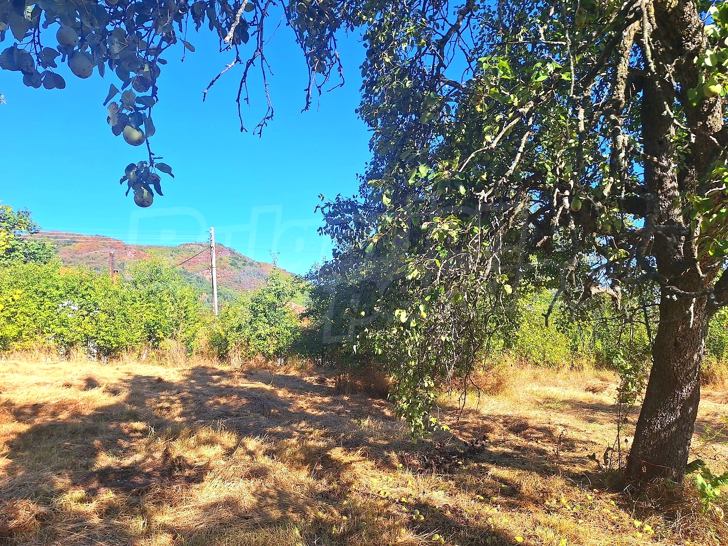 outside, mountain, green area, garden