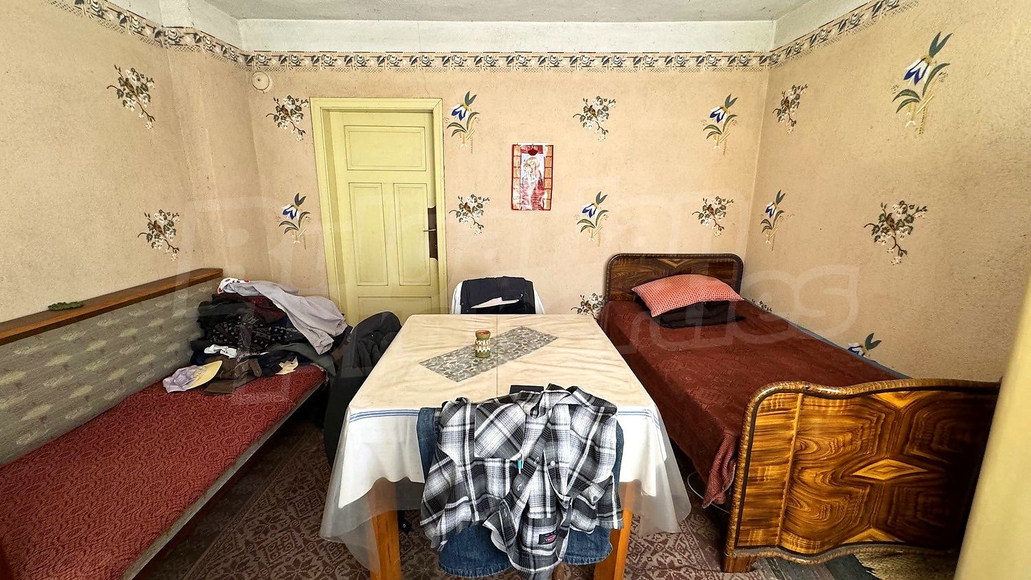 Gallery Picture 11