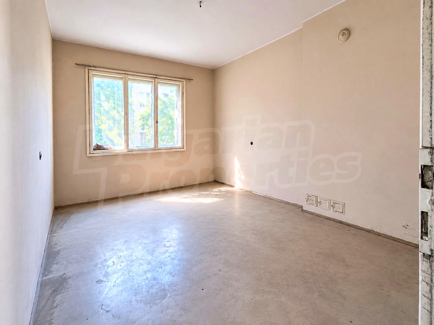 Gallery Picture 3