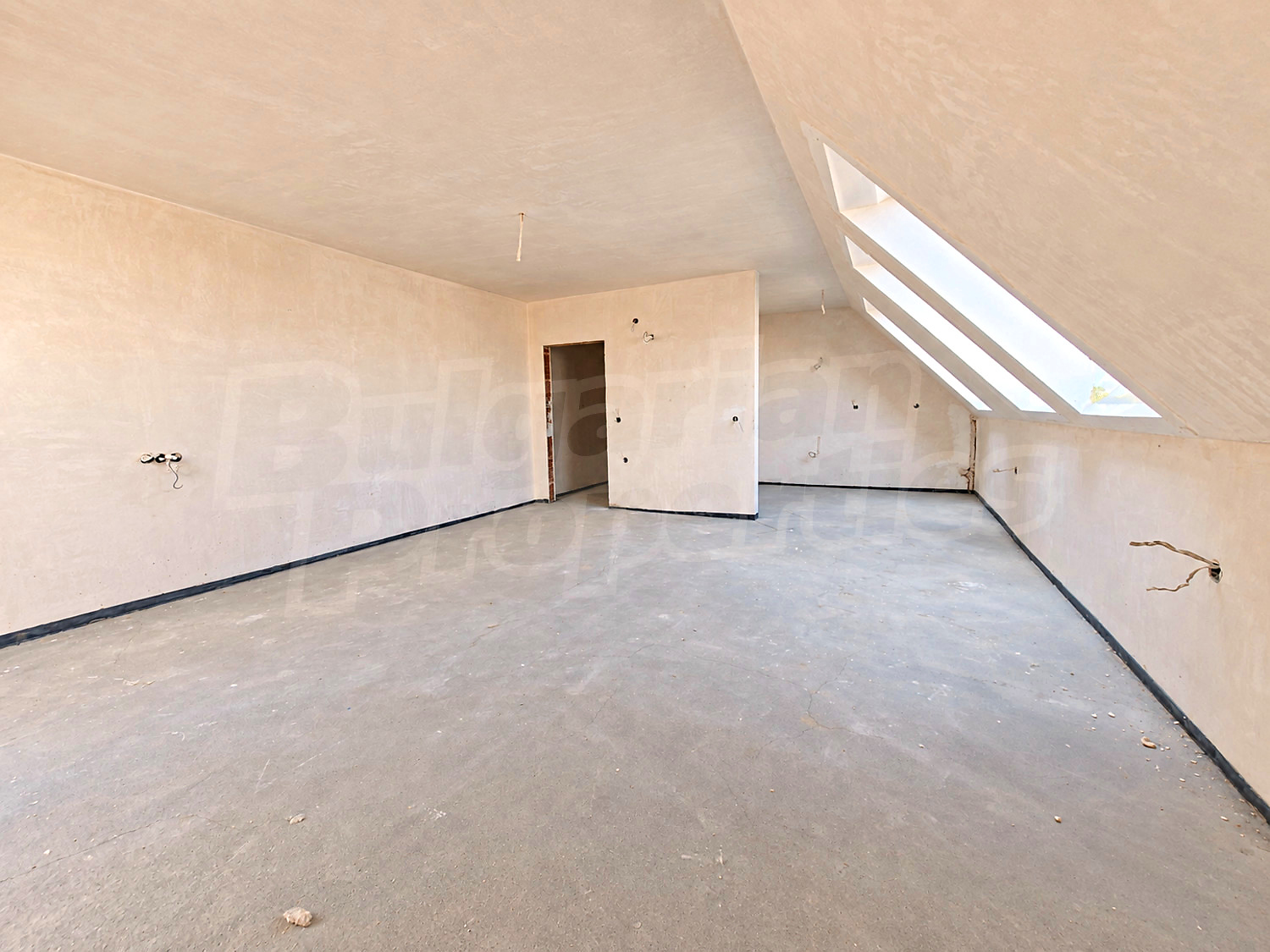 Gallery Picture 6