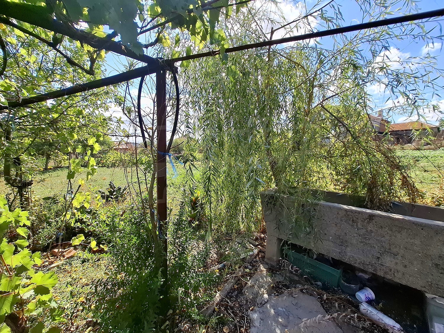 Gallery Picture 29