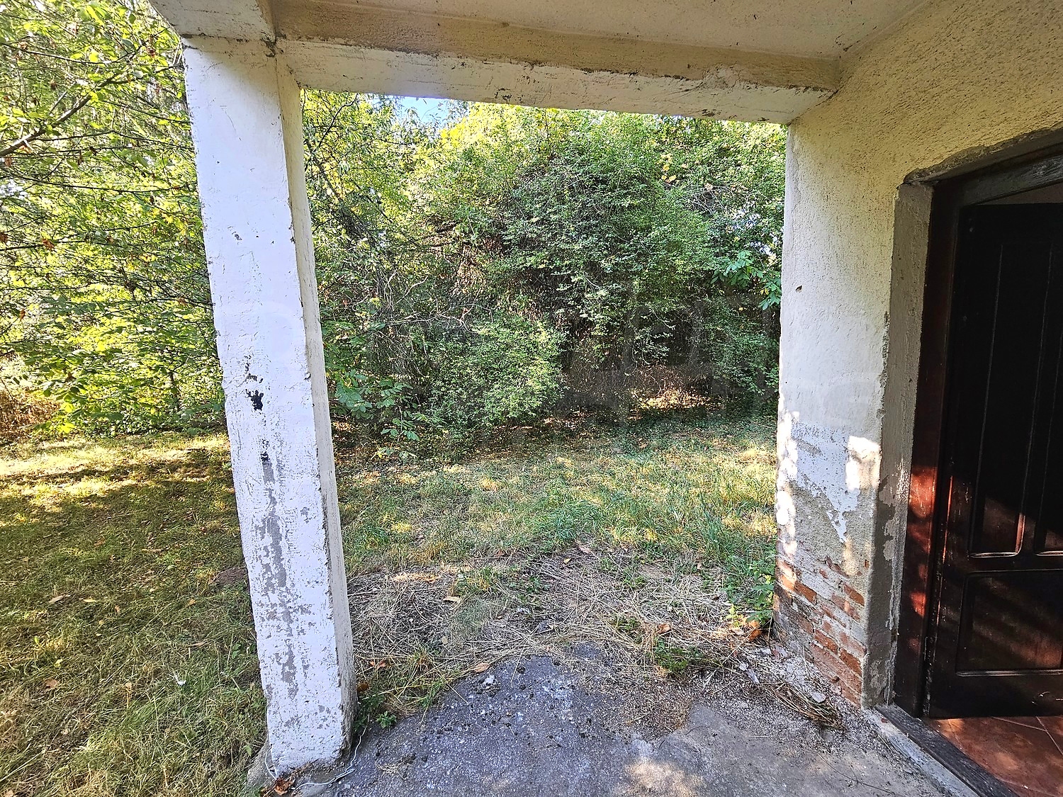 Gallery Picture 39
