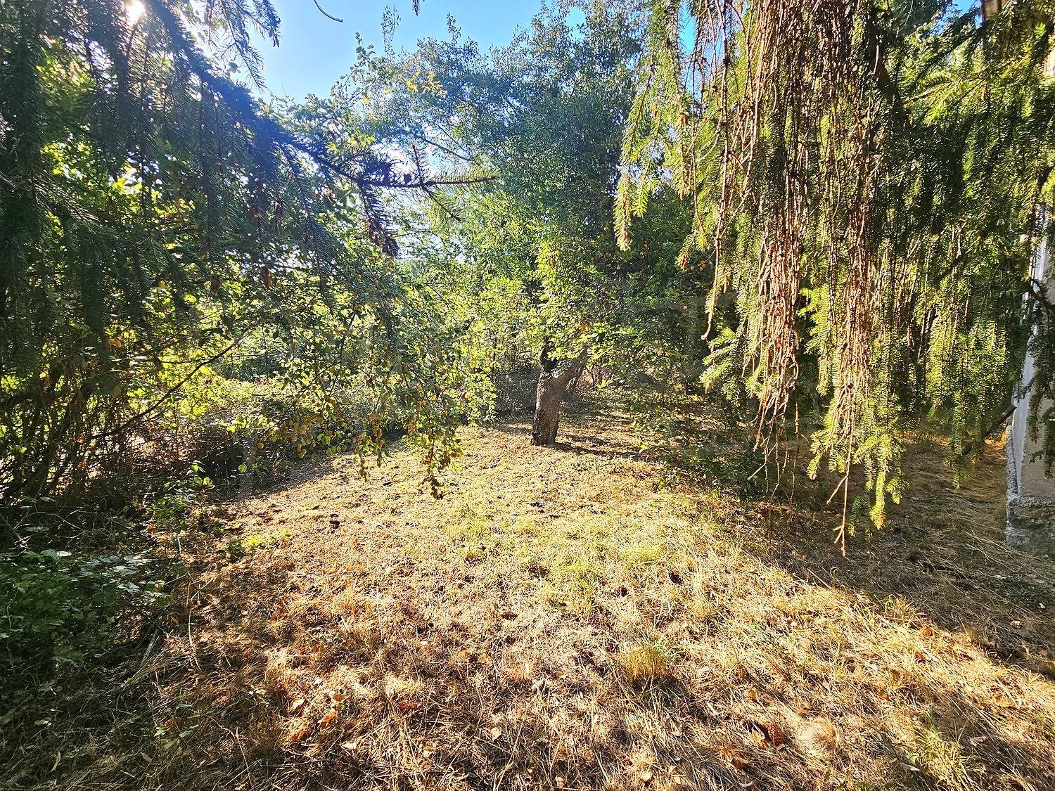 Gallery Picture 37