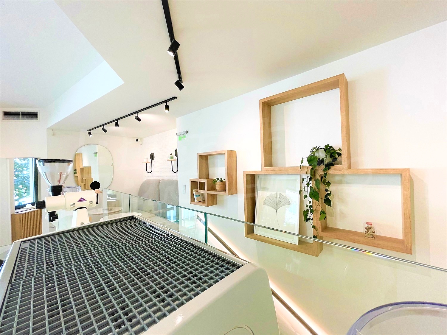 Gallery Picture 11