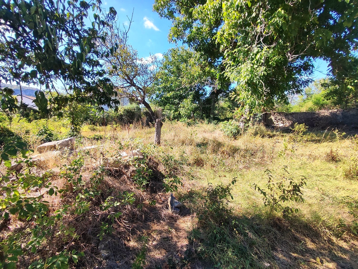 Gallery Picture 5