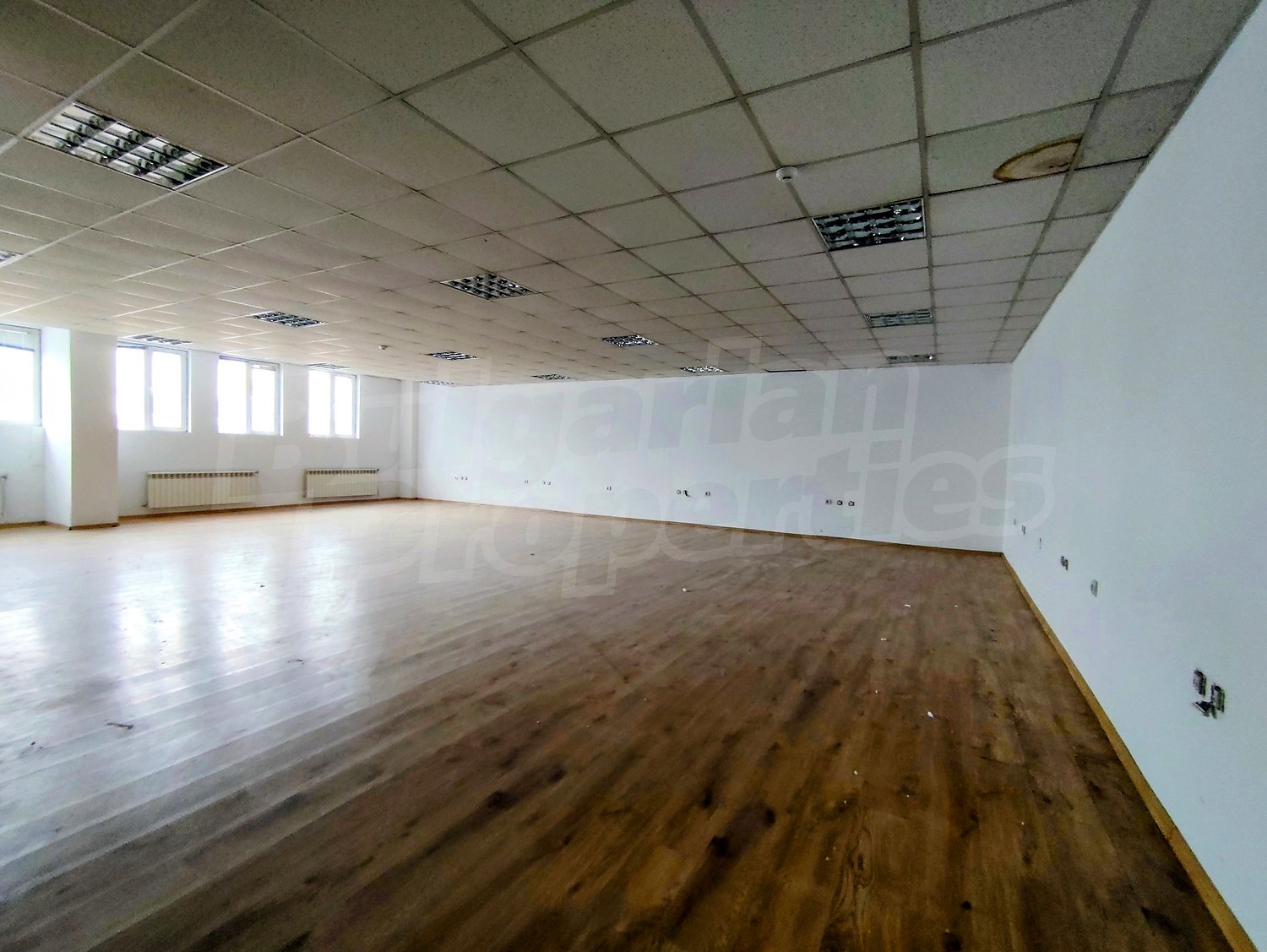 Gallery Picture 15