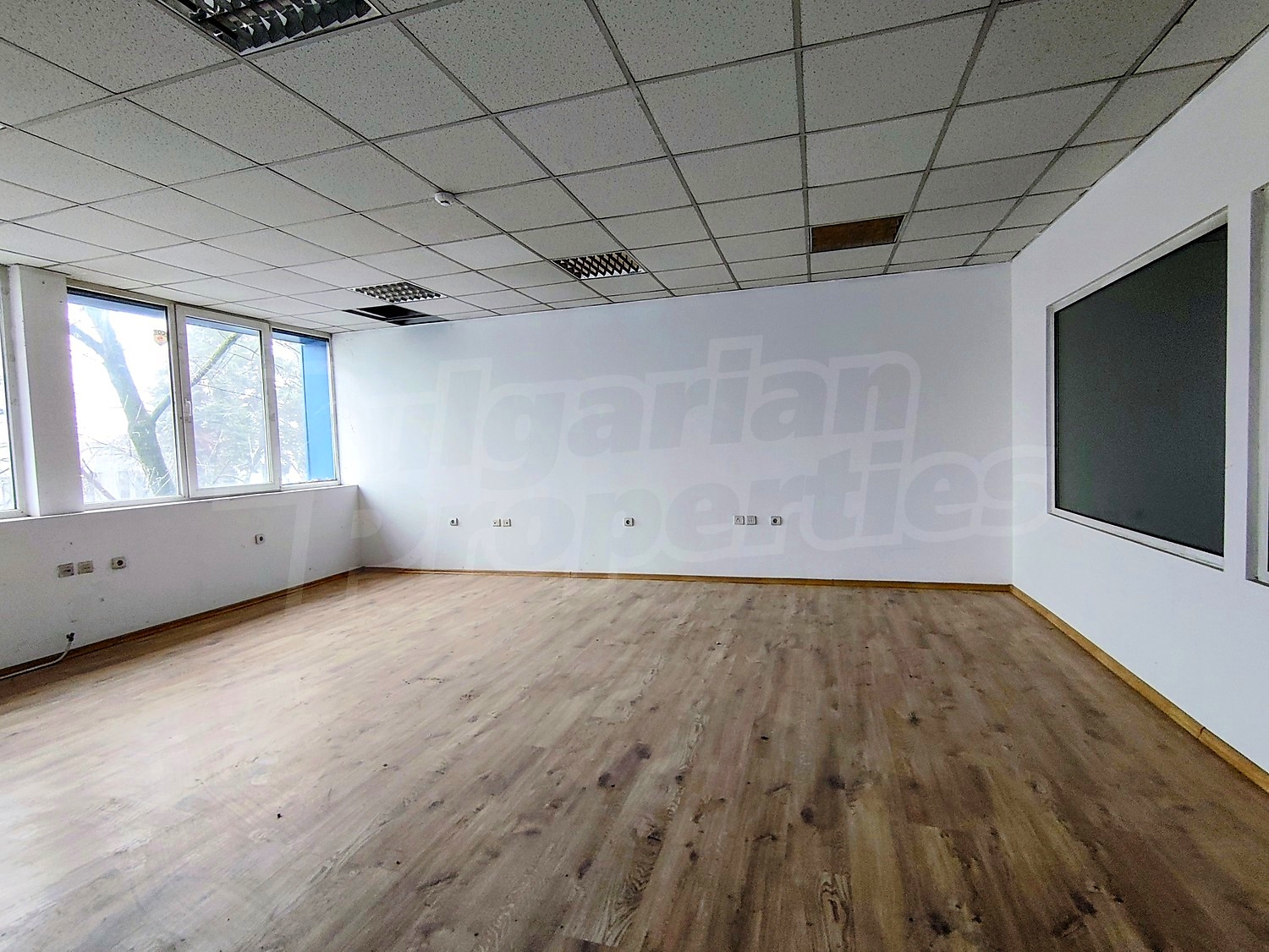 Gallery Picture 17