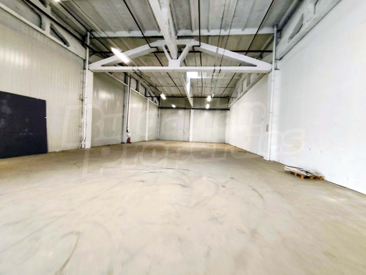 Gallery Picture 3