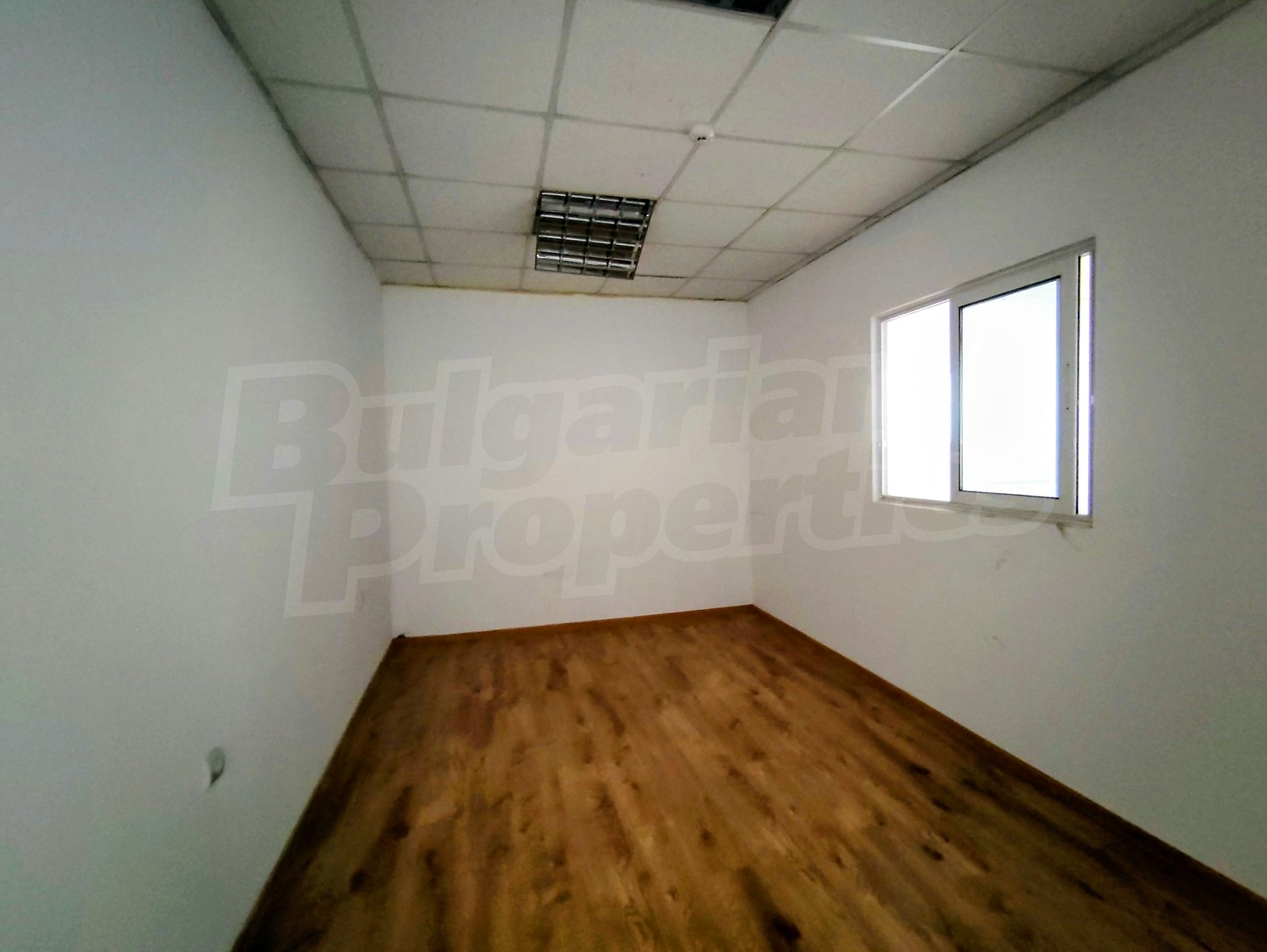 Gallery Picture 4