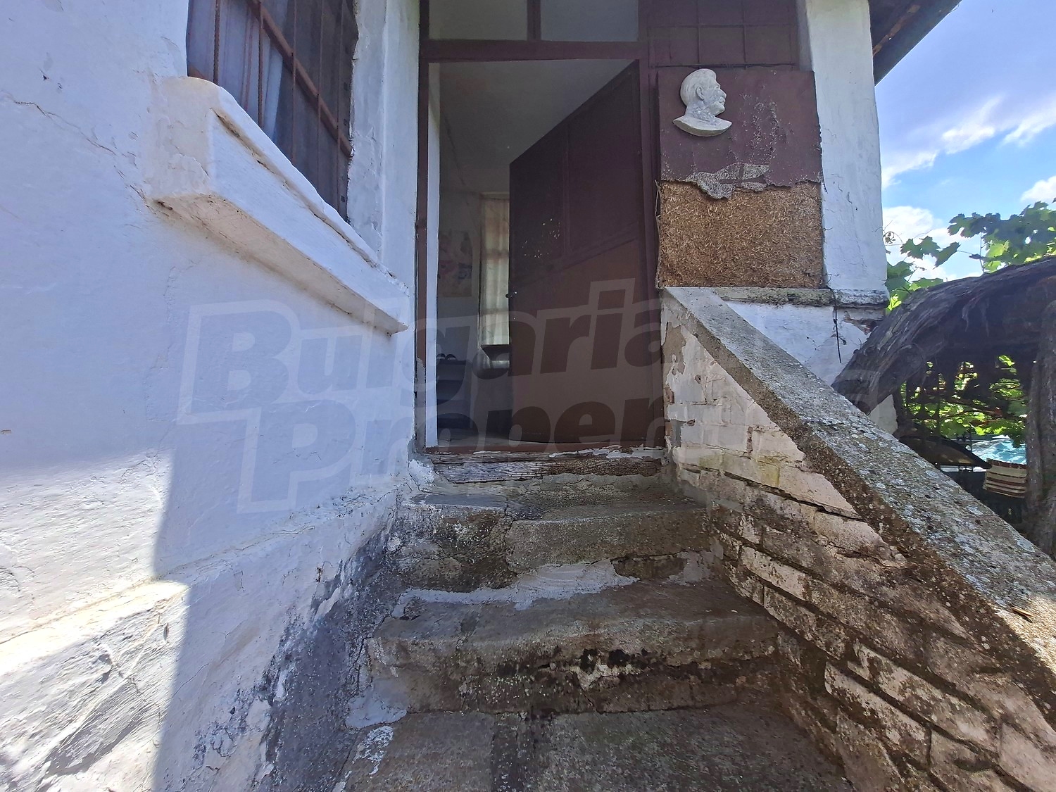 Gallery Picture 29