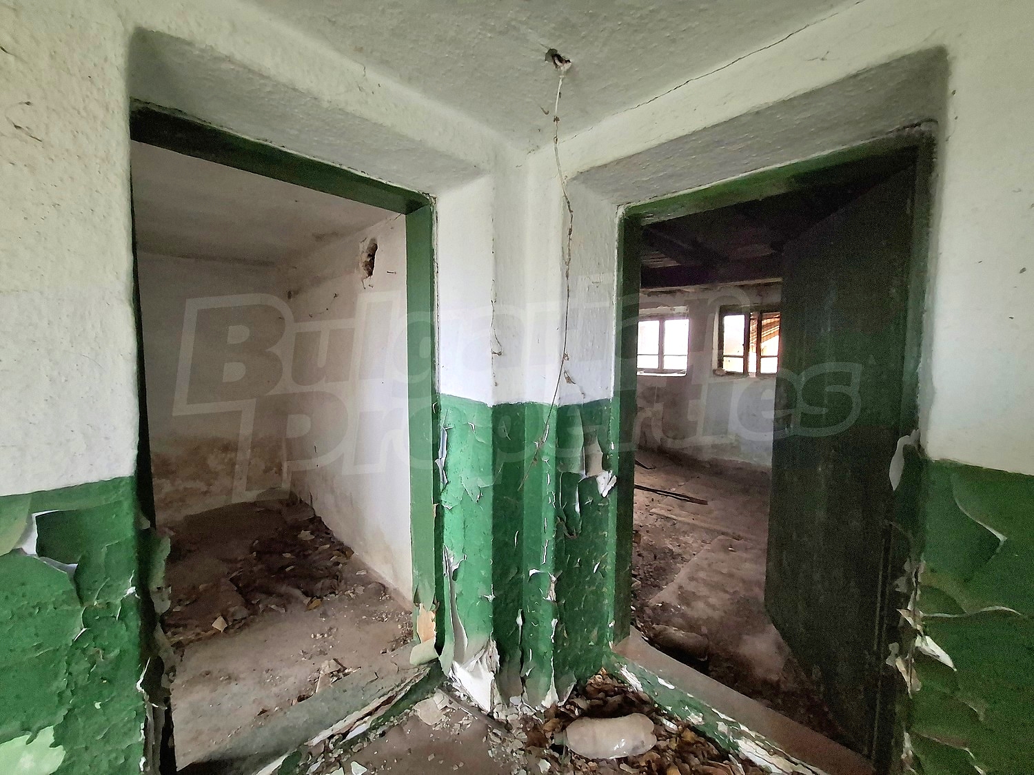 Gallery Picture 9