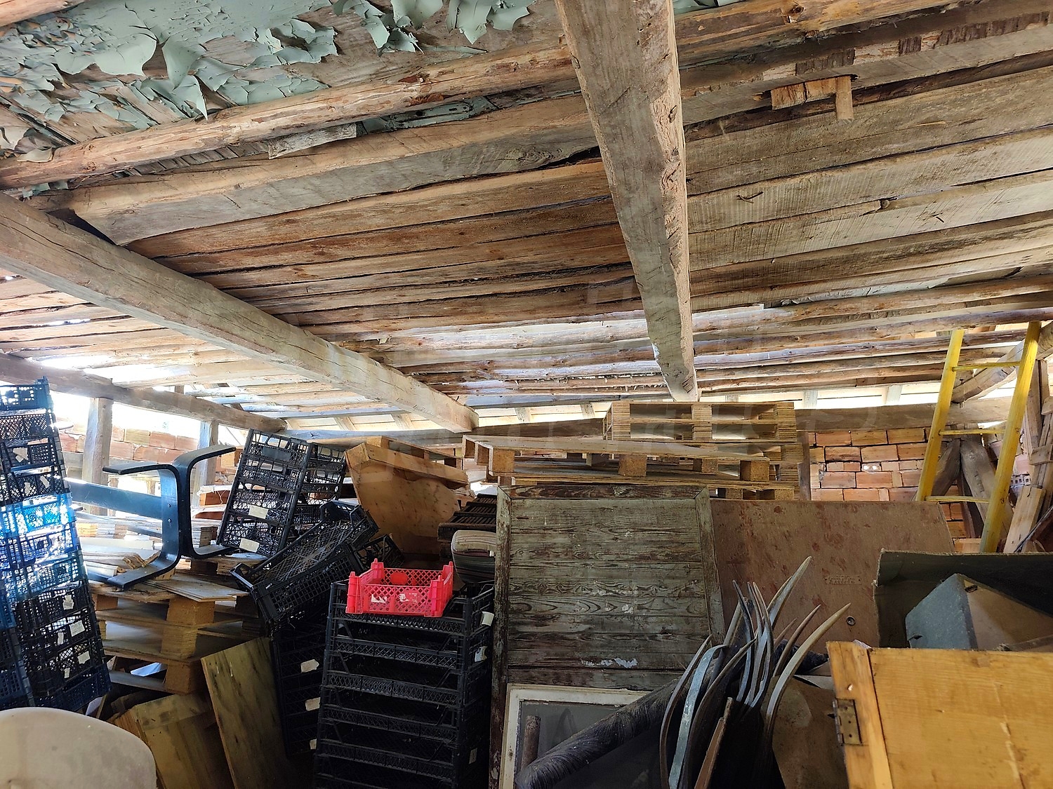 Gallery Picture 36