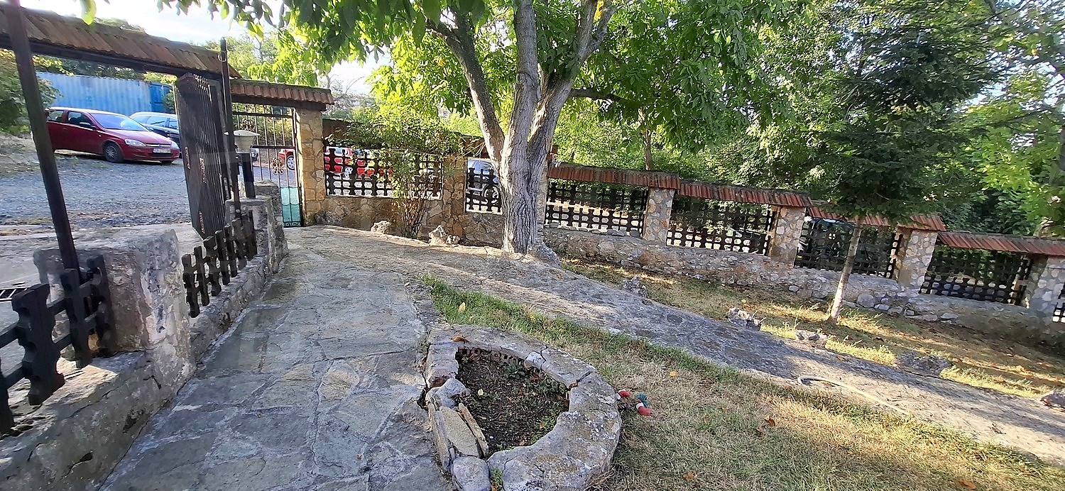 Gallery Picture 31