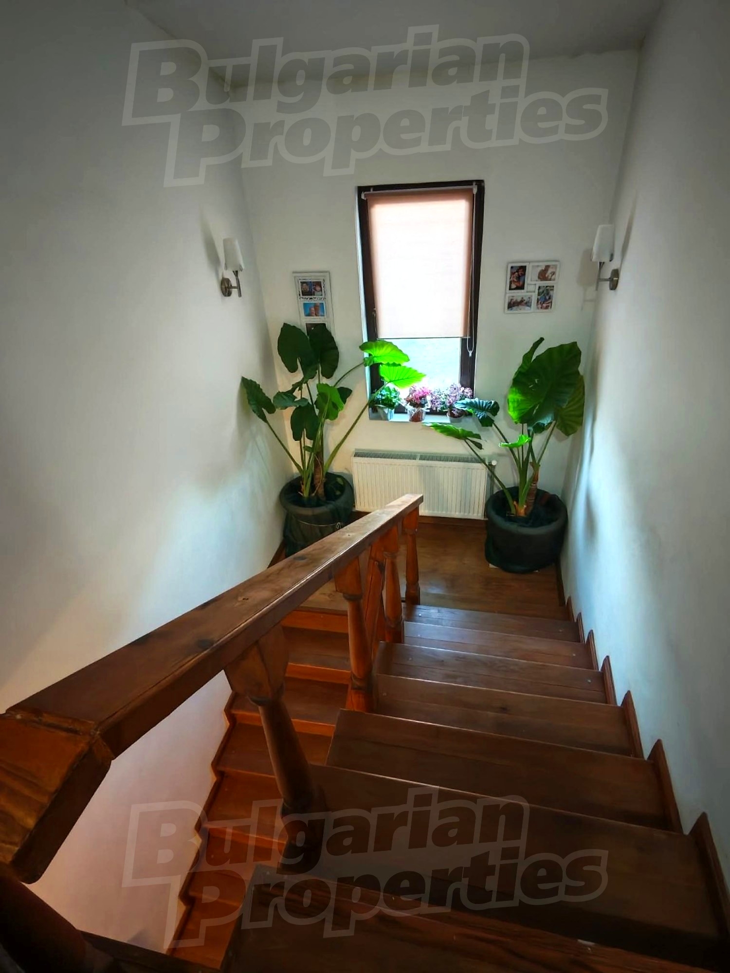 Gallery Picture 12