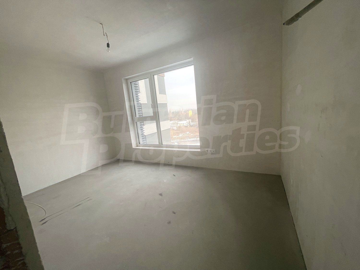 Gallery Picture 17